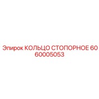 6060005053 КОЛЬЦО СТОПОРНОЕ Epiroc