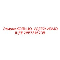 2657316705 КОЛЬЦО-УДЕРЖИВАЮЩЕЕ Epiroc