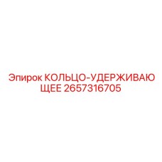 2657316705 КОЛЬЦО-УДЕРЖИВАЮЩЕЕ Epiroc
