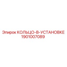1901007089 КОЛЬЦО-В-УСТАНОВКЕ Epiroc