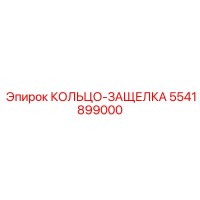 5541899000 КОЛЬЦО-ЗАЩЕЛКА Epiroc
