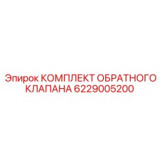 6229005200 КОМПЛЕКТ ОБРАТНОГО КЛАПАНА Epiroc
