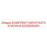 6229005300 КОМПЛЕКТ ОБРАТНОГО КЛАПАНА Epiroc