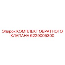 6229005300 КОМПЛЕКТ ОБРАТНОГО КЛАПАНА Epiroc