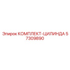 57309890 КОМПЛЕКТ-ЦИЛИНДРА Эпирок