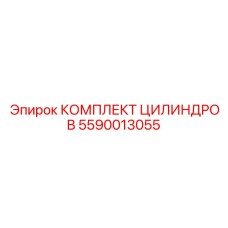 5590013055 КОМПЛЕКТ ЦИЛИНДРОВ Epiroc