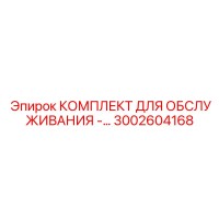 3002604168 КОМПЛЕКТ ДЛЯ ОБСЛУЖИВАНИЯ - Epiroc