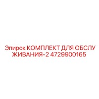 4729900165 КОМПЛЕКТ ДЛЯ ОБСЛУЖИВАНИЯ-2 Epiroc