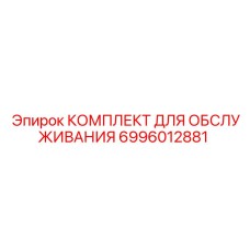 6996012881 КОМПЛЕКТ ДЛЯ ОБСЛУЖИВАНИЯ Epiroc