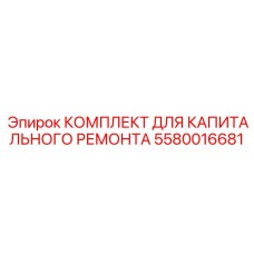 5580016681 КОМПЛЕКТ ДЛЯ КАПИТАЛЬНОГО РЕМОНТА Epiroc