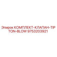9753203921 КОМПЛЕКТ-КЛАПАН-TIPTON-BLOW Epiroc