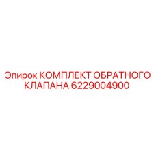 6229004900 КОМПЛЕКТ ОБРАТНОГО КЛАПАНА Epiroc