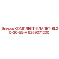 6259071200 КОМПЛЕКТ-КЛАПЕТ-BL20-30-55-A Epiroc