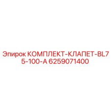 6259071400 КОМПЛЕКТ-КЛАПЕТ-BL75-100-A (Epiroc)