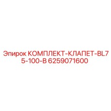 6259071600 КОМПЛЕКТ-КЛАПЕТ-BL75-100-B (Epiroc)
