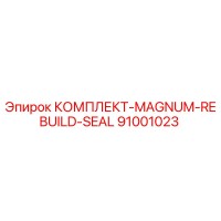 91001023 КОМПЛЕКТ-MAGNUM-REBUILD-SEAL Epiroc