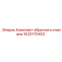 1625170453 Комплект обратного клапана Epiroc