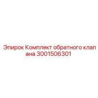 3001506301 Комплект обратного клапана Epiroc