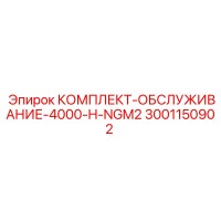 3001150902 КОМПЛЕКТ-ОБСЛУЖИВАНИЕ-4000-H-NGM2 Epiroc