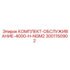 3001150902 КОМПЛЕКТ-ОБСЛУЖИВАНИЕ-4000-H-NGM2 Epiroc