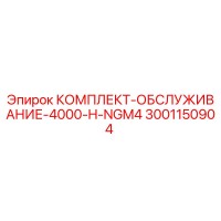 3001150904 КОМПЛЕКТ-ОБСЛУЖИВАНИЕ-4000-H-NGM4 Epiroc