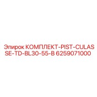 6259071000 КОМПЛЕКТ-PIST-CULASSE-TD-BL30-55-B Epiroc
