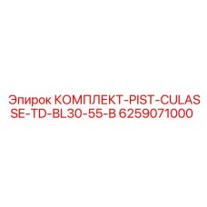 6259071000 КОМПЛЕКТ-PIST-CULASSE-TD-BL30-55-B Epiroc
