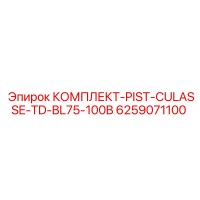 6259071100 КОМПЛЕКТ-PIST-CULASSE-TD-BL75-100B Epiroc