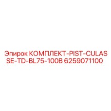 6259071100 КОМПЛЕКТ-PIST-CULASSE-TD-BL75-100B Epiroc