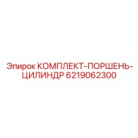 6219062300 КОМПЛЕКТ-ПОРШЕНЬ-ЦИЛИНДР Epiroc