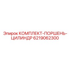 6219062300 КОМПЛЕКТ-ПОРШЕНЬ-ЦИЛИНДР Epiroc