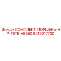6219017700 КОМПЛЕКТ-ПОРШЕНЬ-HP-TETE-AB550 Epiroc