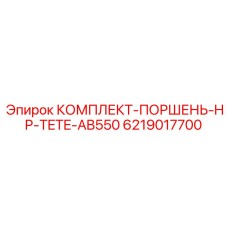 6219017700 КОМПЛЕКТ-ПОРШЕНЬ-HP-TETE-AB550 Epiroc