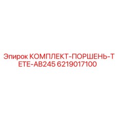 6219017100 КОМПЛЕКТ-ПОРШЕНЬ-TETE-AB245 Epiroc