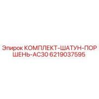 6219037595 КОМПЛЕКТ-ШАТУН-ПОРШЕНЬ-AC30 Epiroc