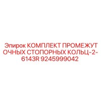 9245999042 КОМПЛЕКТ ПРОМЕЖУТОЧНЫХ СТОПОРНЫХ КОЛЬЦ-2-6143R Epiroc