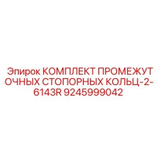 9245999042 КОМПЛЕКТ ПРОМЕЖУТОЧНЫХ СТОПОРНЫХ КОЛЬЦ-2-6143R Epiroc