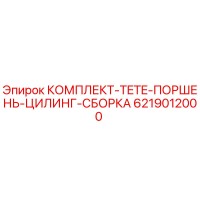 6219012000 КОМПЛЕКТ-TETE-ПОРШЕНЬ-ЦИЛИНГ-СБОРКА Epiroc