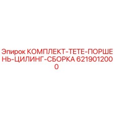 6219012000 КОМПЛЕКТ-TETE-ПОРШЕНЬ-ЦИЛИНГ-СБОРКА Epiroc