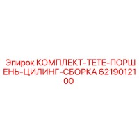 6219012100 КОМПЛЕКТ-TETE-ПОРШЕНЬ-ЦИЛИНГ-СБОРКА Epiroc