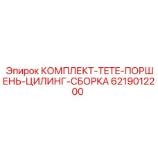 6219012200 КОМПЛЕКТ-TETE-ПОРШЕНЬ-ЦИЛИНГ-СБОРКА Epiroc