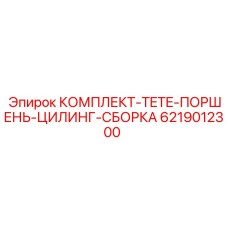 6219012300 КОМПЛЕКТ-TETE-ПОРШЕНЬ-ЦИЛИНГ-СБОРКА Epiroc