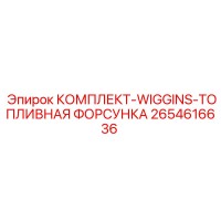 2654616636 КОМПЛЕКТ-WIGGINS-ТОПЛИВНАЯ ФОРСУНКА Epiroc
