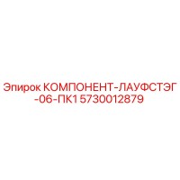 5730012879 КОМПОНЕНТ-ЛАУФСТЭГ-06-ПК1 Epiroc