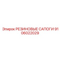 9106022029 РЕЗИНОВЫЕ САПОГИ Epiroc