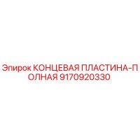 9170920330 КОНЦЕВАЯ ПЛАСТИНА-ПОЛНАЯ Epiroc