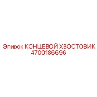 4700186696 КОНЦЕВОЙ ХВОСТОВИК Epiroc