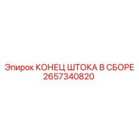 2657340820 КОНЕЦ ШТОКА В СБОРЕ Epiroc