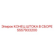 5557933200 КОНЕЦ ШТОКА В СБОРЕ Epiroc