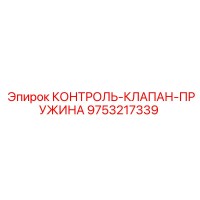 9753217339 КОНТРОЛЬ-КЛАПАН-ПРУЖИНА Epiroc